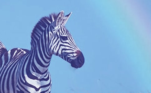 ���^���R����؈