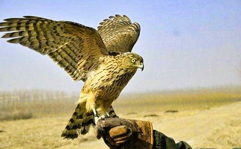 �n������600�ְ�ƪ