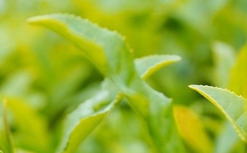 ���~��ُ��ͬ����15ƪ