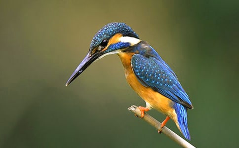 ���B��x��