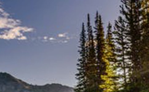 2021年精選形容風景優美的句子25條