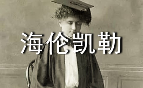 �����P���x���600��