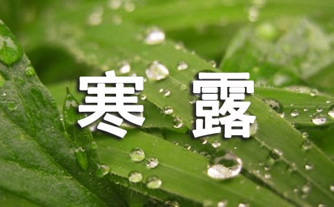 最新寒露說說(精選130句)