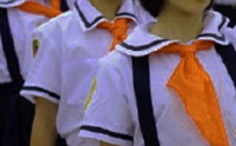 紅領巾水中情作文(精選64篇)