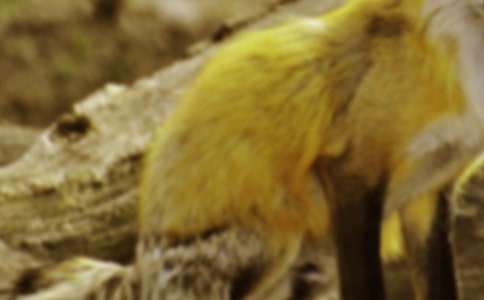 С�úͺ�؂����4ƪ