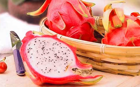 ����������15ƪ����Ʒ��