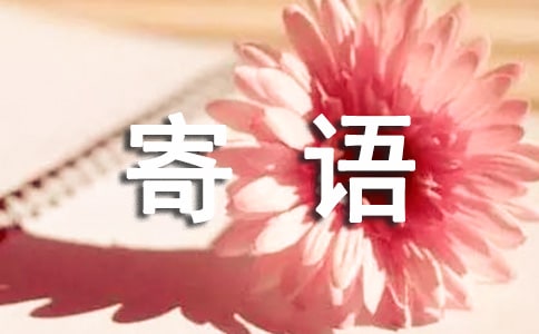 給自己的寄語(精選290句)