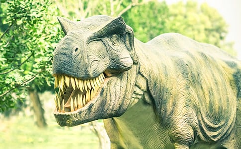 [��]����������15ƪ