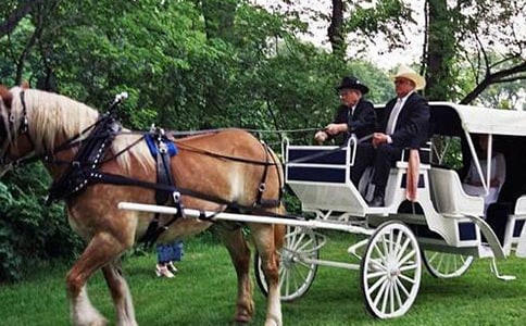 ���r�g��С�R܇���̌W��˼����