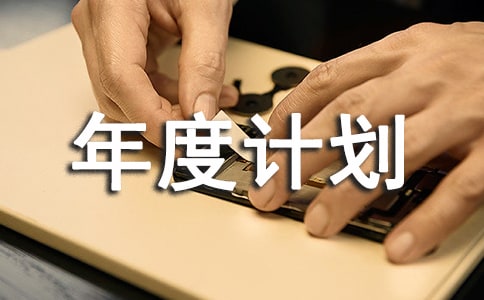 【精品】工作年度計劃模板匯總7篇