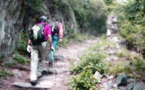 初中生爬山日記(通用5篇)