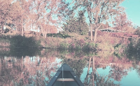 �＾�������|�����ʳ��ע��5Ҫ�c