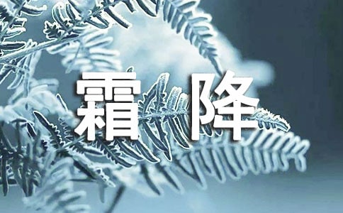 霜降暖心寄語(精選250句)