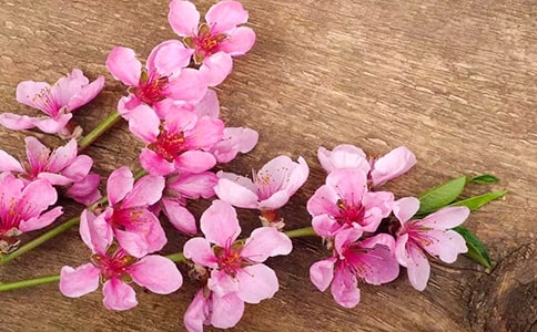 關于重慶酉陽桃花源導游詞