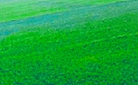 �����]�����꼉��Ұ���ĺϼ�5ƪ