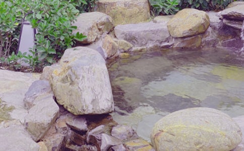 泡溫泉作文經典(15篇)