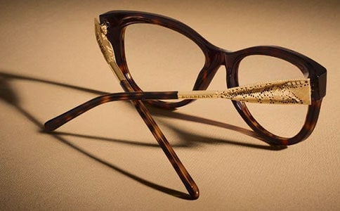 《太陽鳥和眼鏡王蛇》優秀讀后感