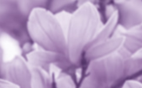 ���؂䡿���m��������