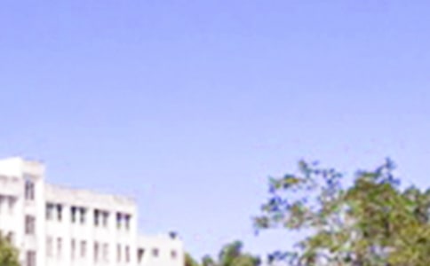 常見早安文案大全(通用150句)