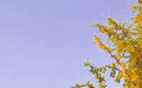 關于正能量早安文案180句精選