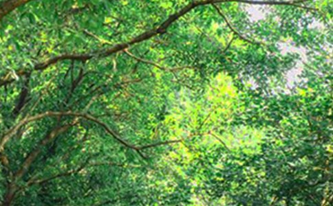 �P�ڂ����簲�İ��R��190��