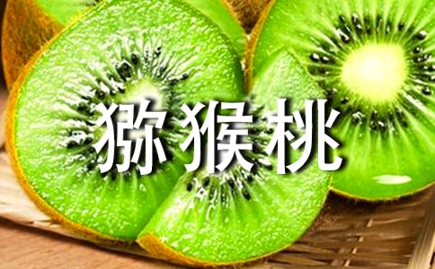 獼猴桃作文15篇